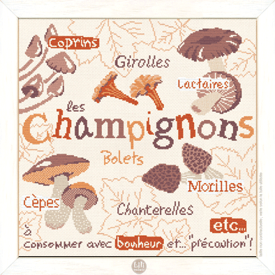 les-chmapignons-g022.png