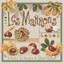 Fiche de broderie les marrons 179 madame la fee