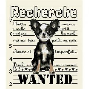 Li17 chien wanted