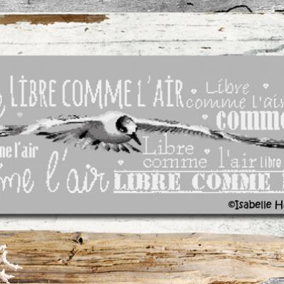 Libre comme l'air BDN44 Isabelle Haccourt Vautier