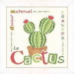 Le cactus J016 Lilipoints