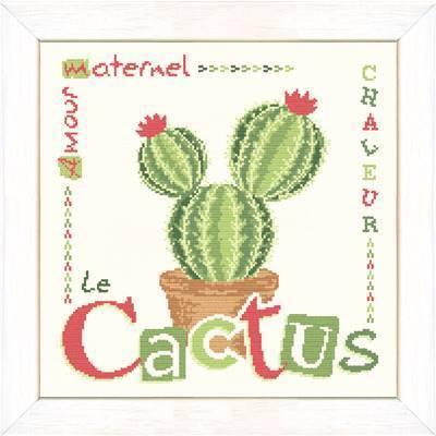 Le cactus J016 Lilipoints