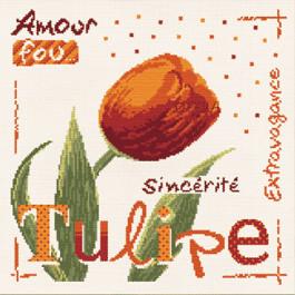 Lp la tulipe