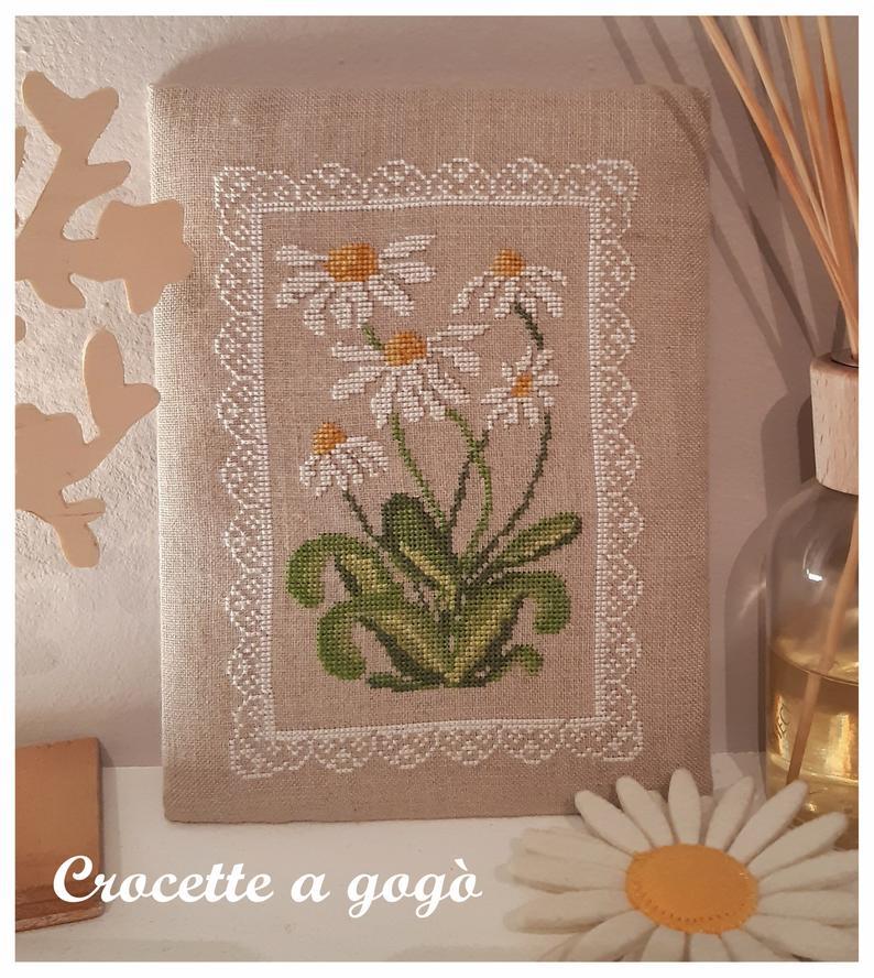 Margherite a primavera 1