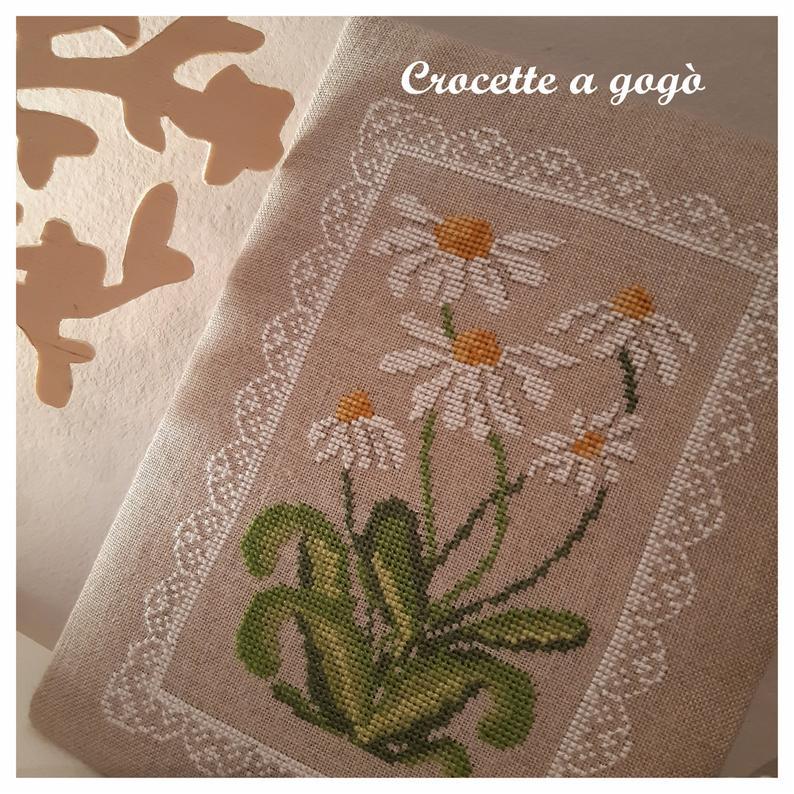 Margherite a primavera 3