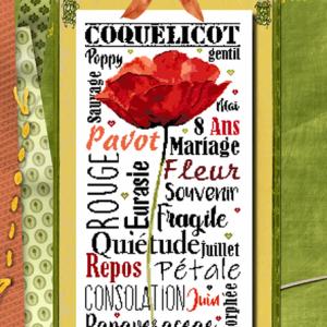 Bdn49 gentil coquelicot isabelle vautier fiche de broderie