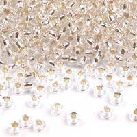 Perles de Rocailles Argent 10/0 - 2,3 mm - 10g