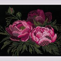 Pivoines de dentelle kit de blackwork riolis sr2024 4