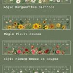 Regles transparentes fleurs 15 cm