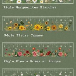 Règles Fleurs 15 cm