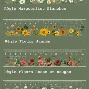 Regles transparentes fleurs 15 cm