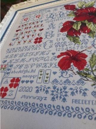 Sampler hibiscus passion des croix 3