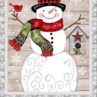 Snowplacelikehomegraysnowmanpanel4895 007