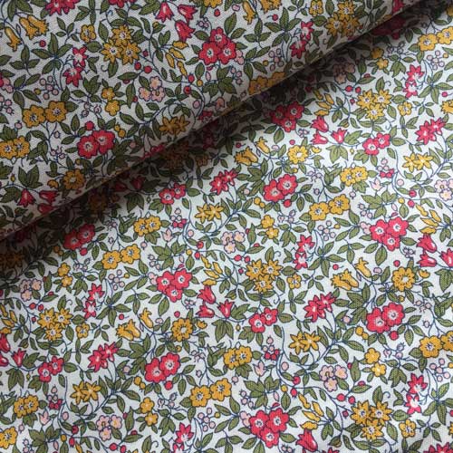 The cottage garden 1b