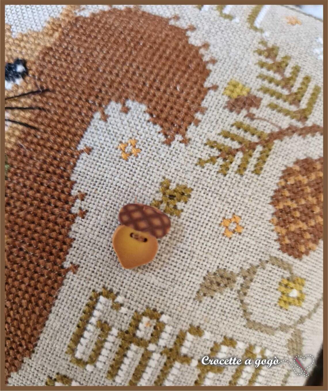 The little squirrel fiche crocette a gogo 1