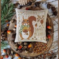 The little squirrel fiche crocette a gogo 3