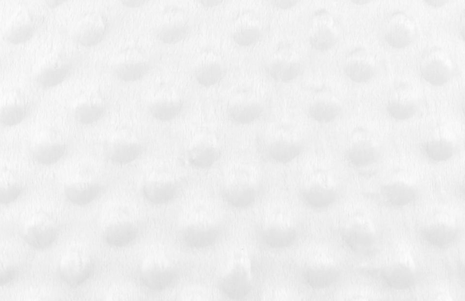 Tissu minky a pois blanc