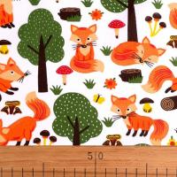 Tissu renard 3