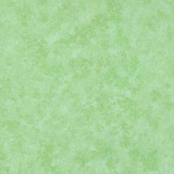 Tissus Patchwork Makower faux Unis Spraytime  G45 MENTHE VERTE