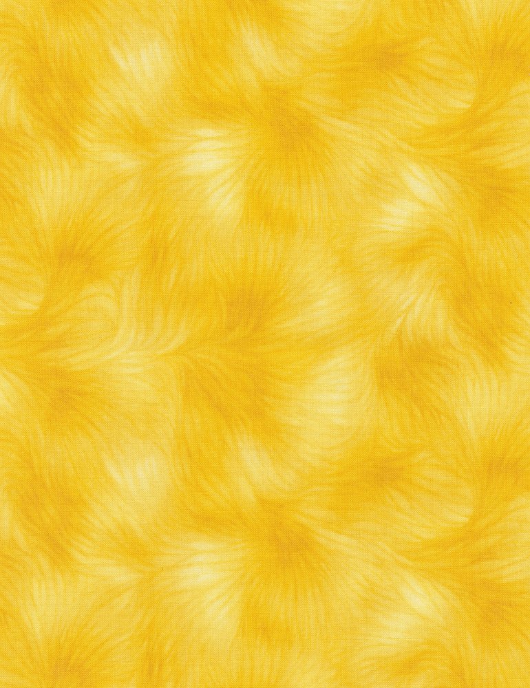 Viola c4459 sun